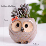 "Charline" Owl Flower Pot